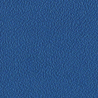 BG.301